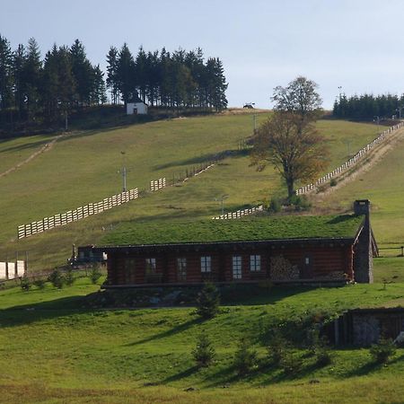 Sruby Haida Ceske Petrovice Kültér fotó
